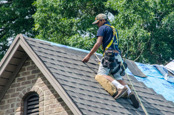 Best Shingle Roofing Installation  in Erda, UT